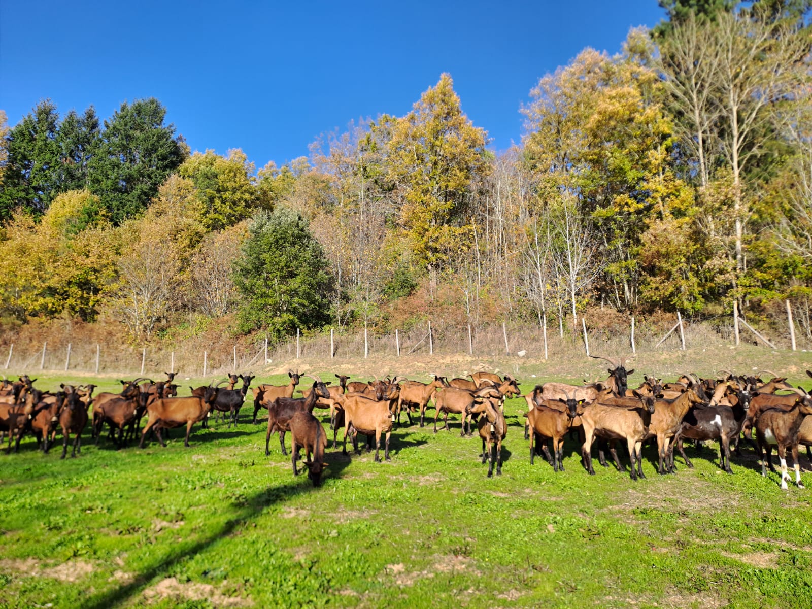 Tradizione e territorio